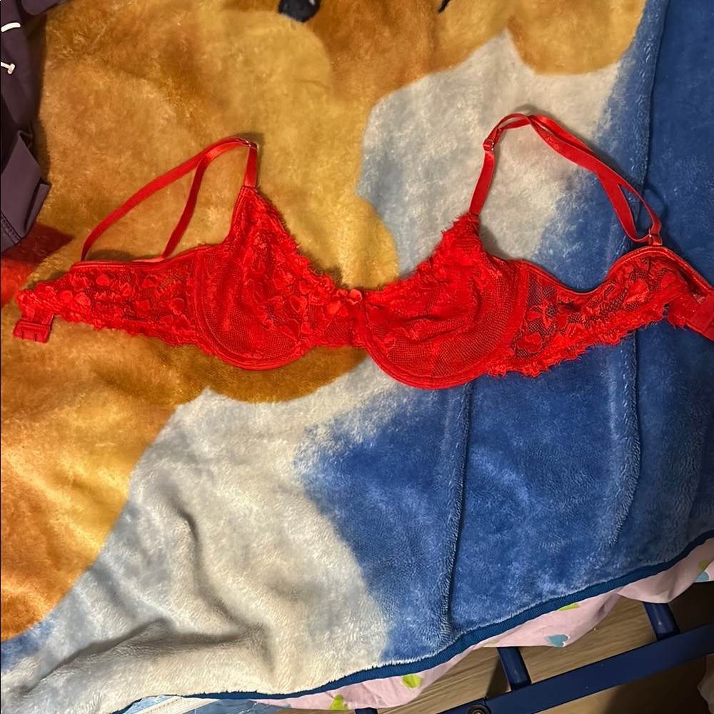 Elegant Red Lace Bra